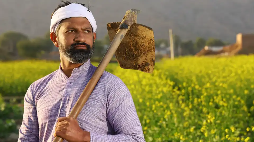 नांदेडमध्ये रब्बी हंगामात केवळ ८% पीककर्ज वाटप