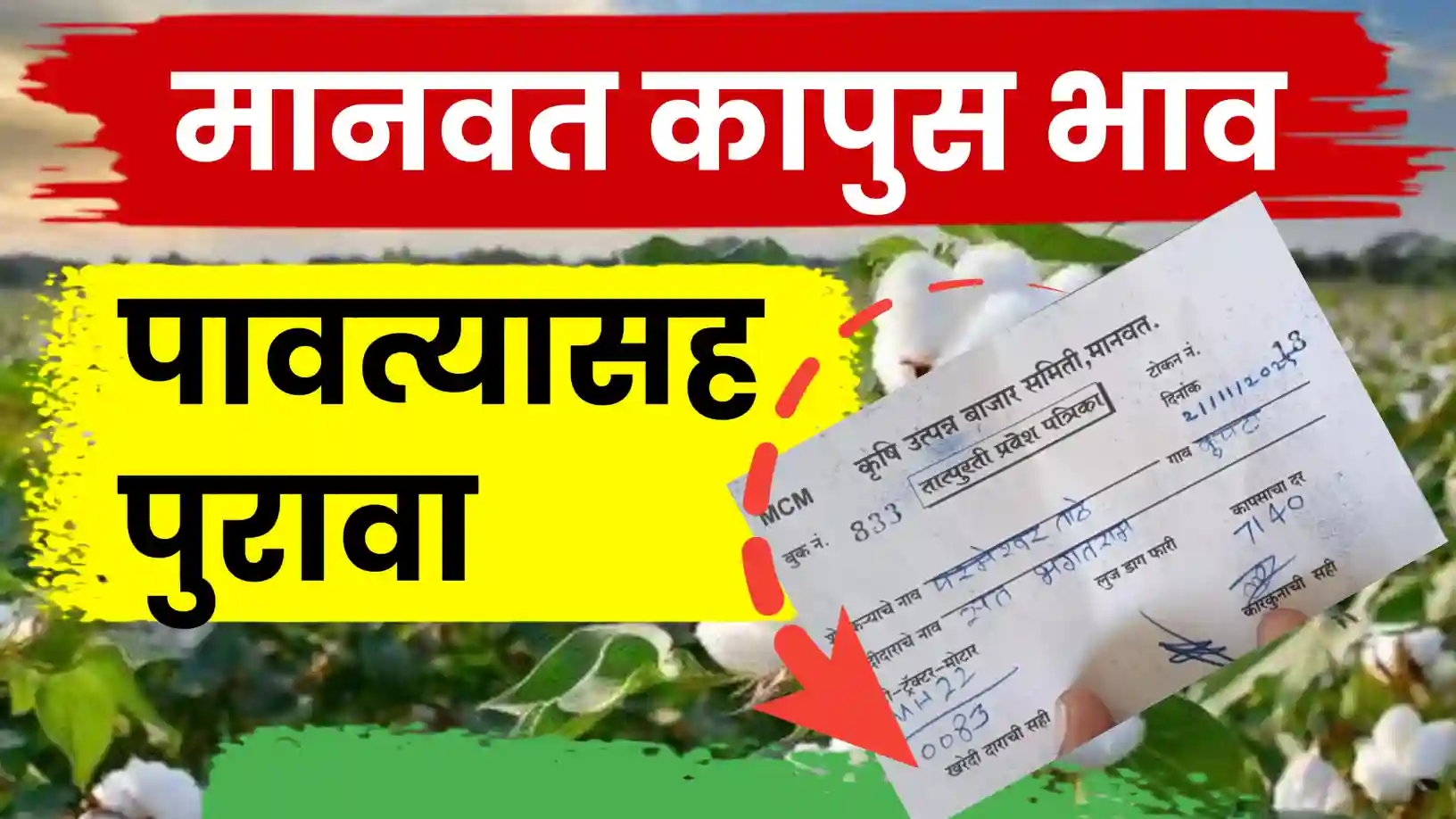 मानवत बाजार समितीत कापसाचे दर हमीभावाखाली