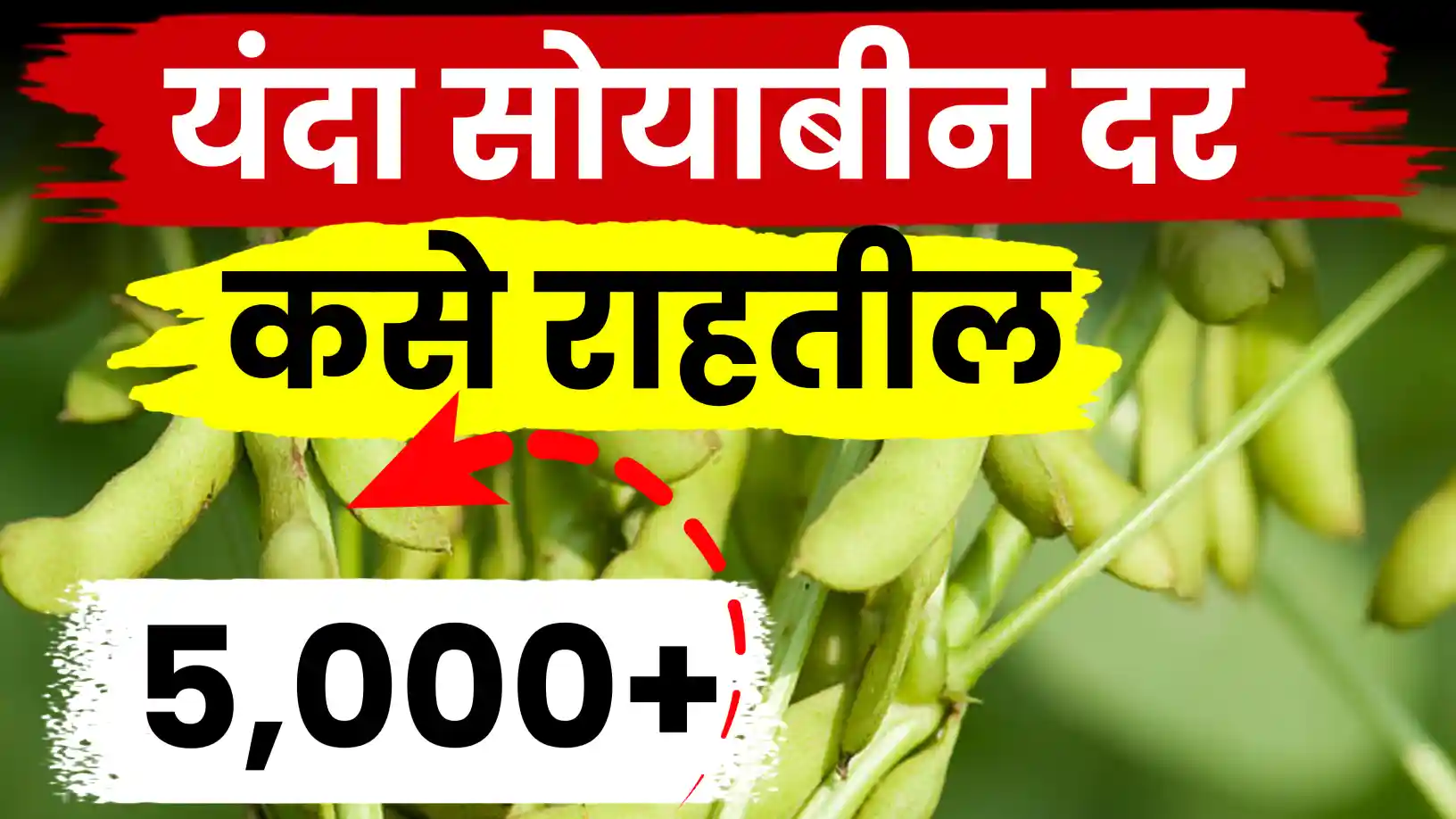 सोयाबीनच्या दरात तेजीचे संकेत