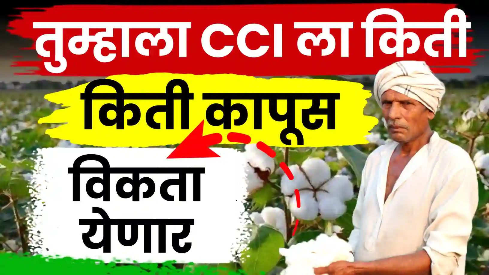 कापूस उत्पादकांसाठी महत्त्वाची माहिती