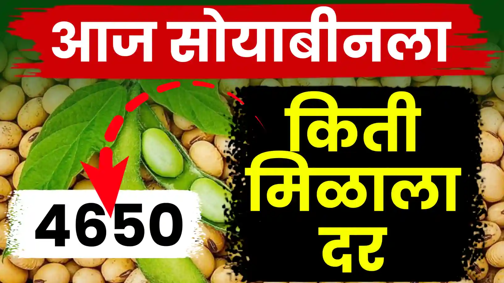 सोयाबीनला तेजीचा आधार कायम