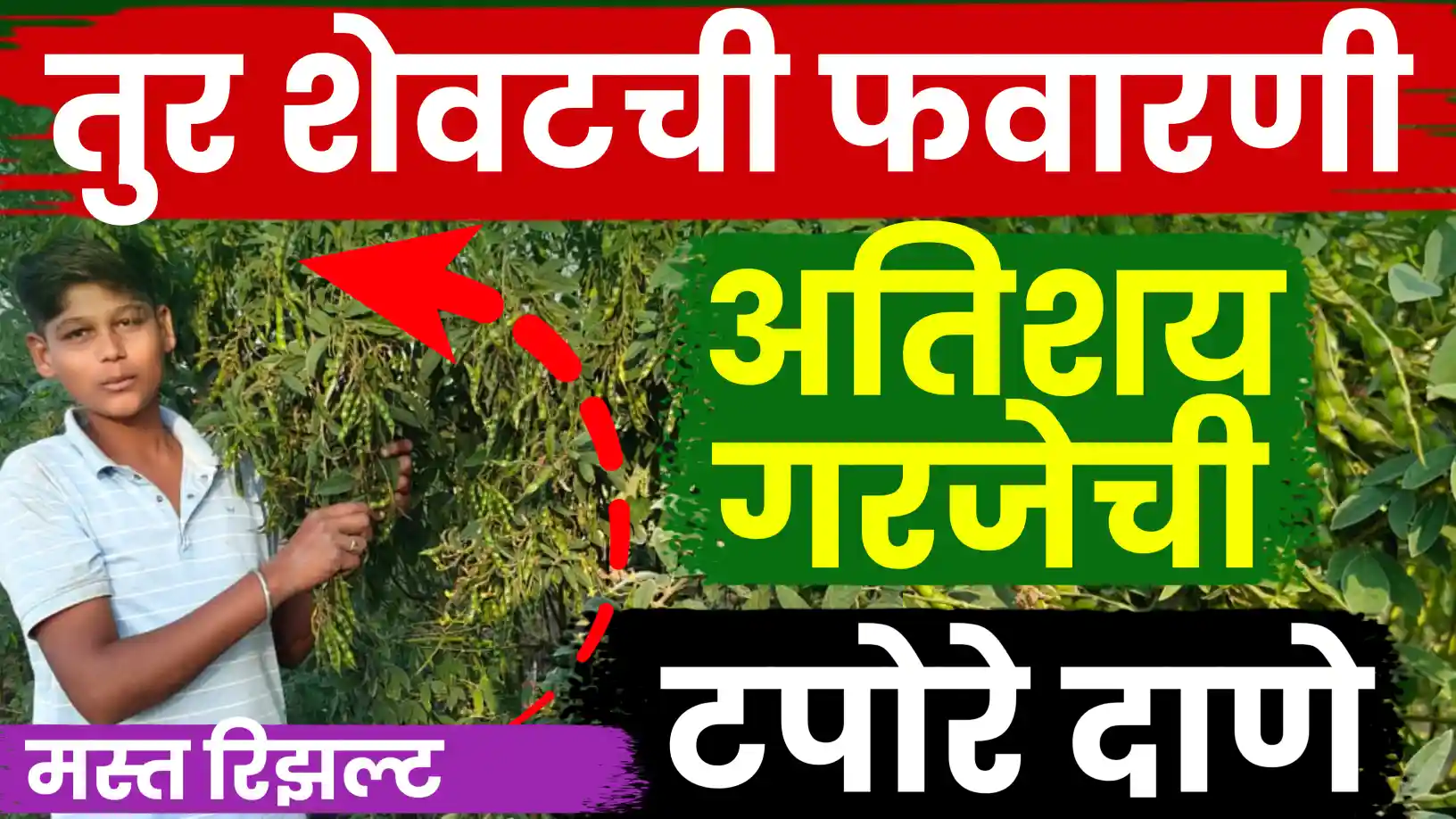 तूर पिकात शेवटची फवारणी कोणती करावी