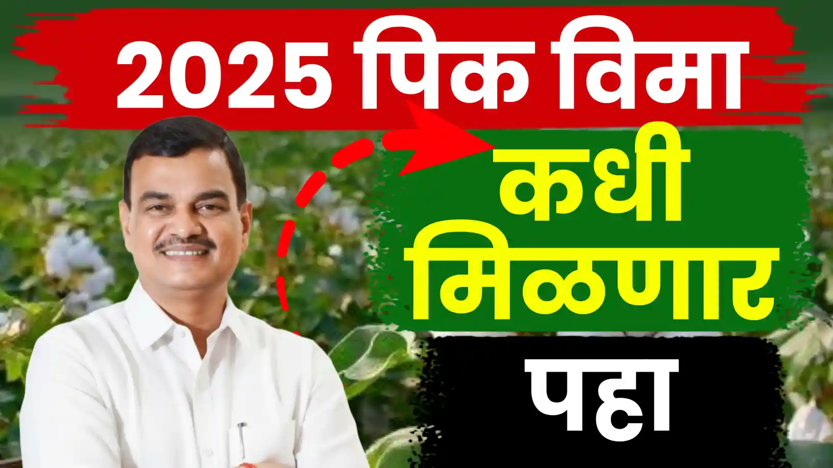 पीक विमा कधी मिळणार