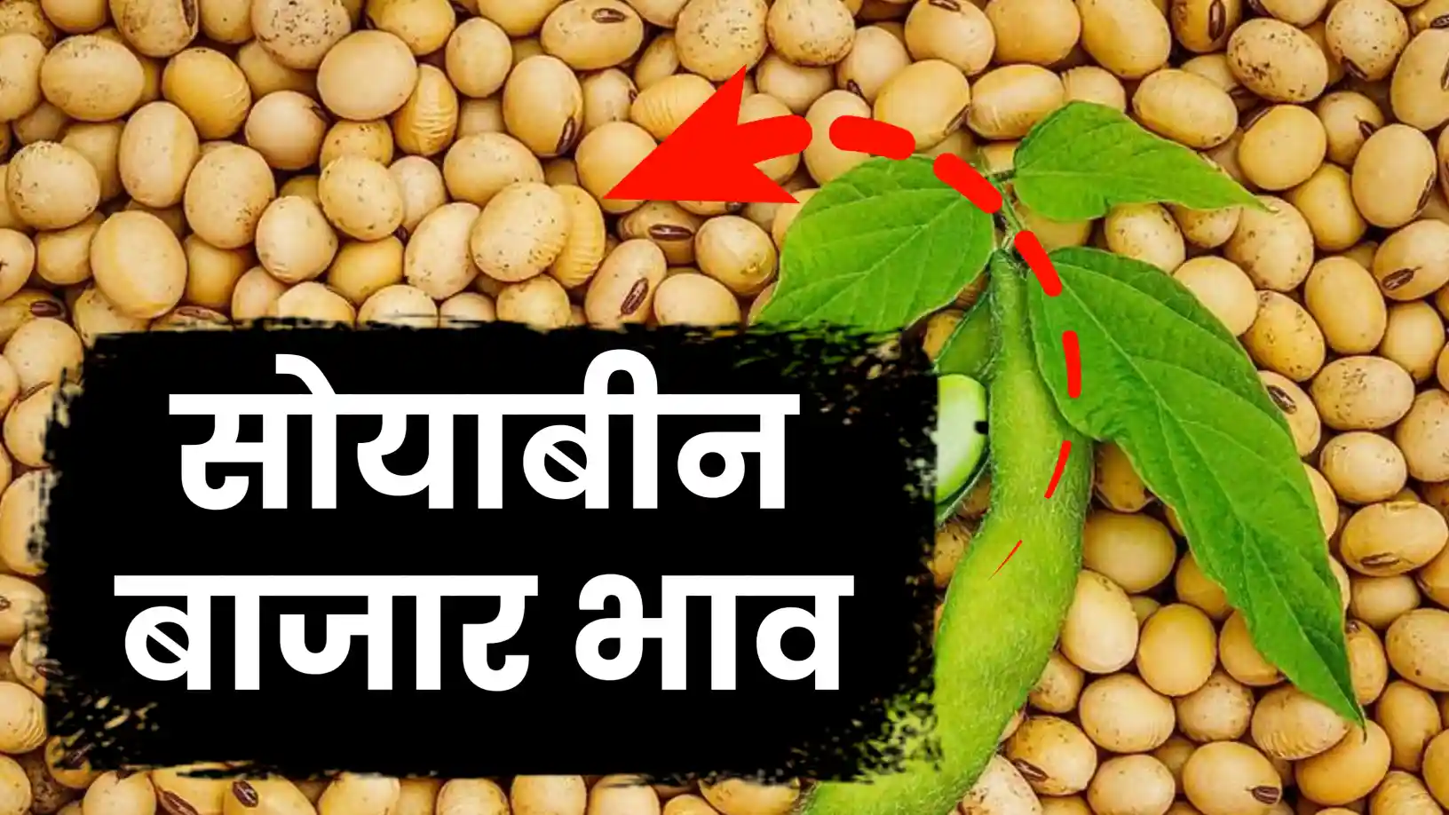 सोयाबीन बाजारात मागणीचा जोर