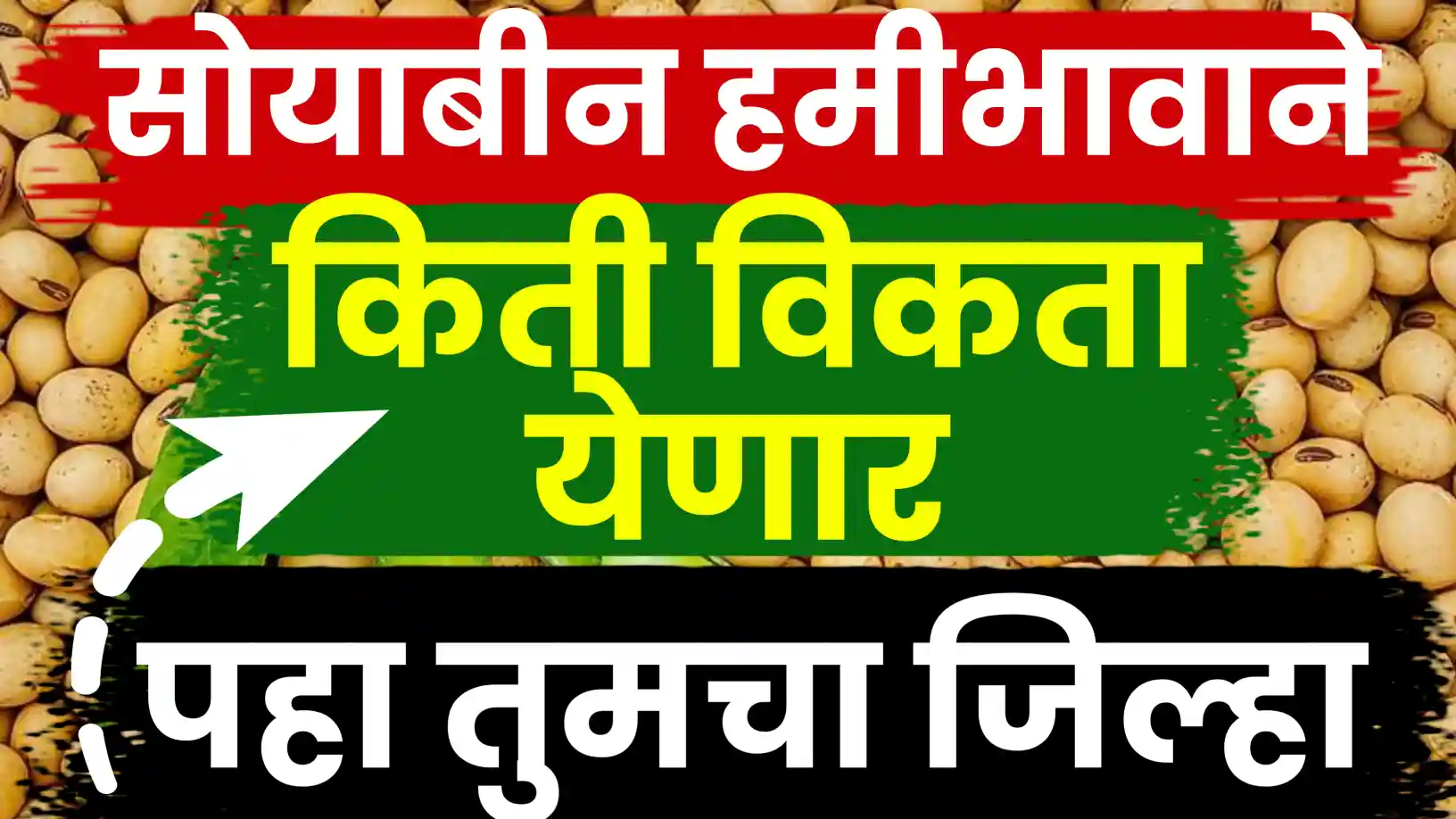 हमीभावाने खरेदी सुरू