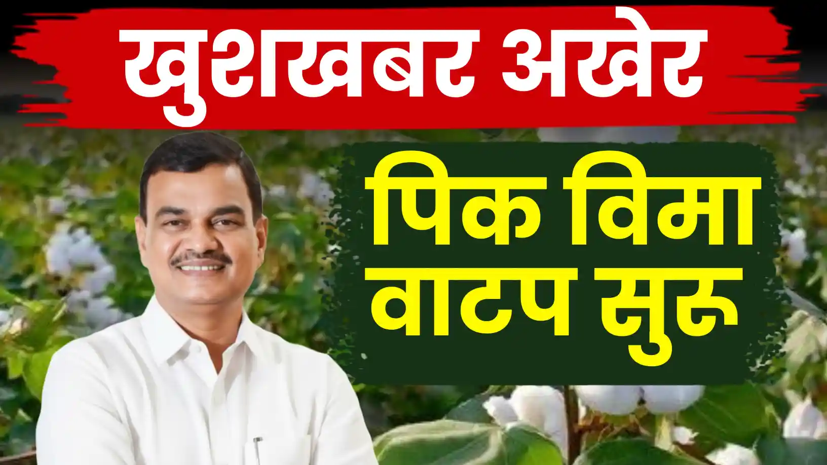 अमरावती जिल्ह्याचा आंबिया बहार फळपीक विमा अखेर मंजूर