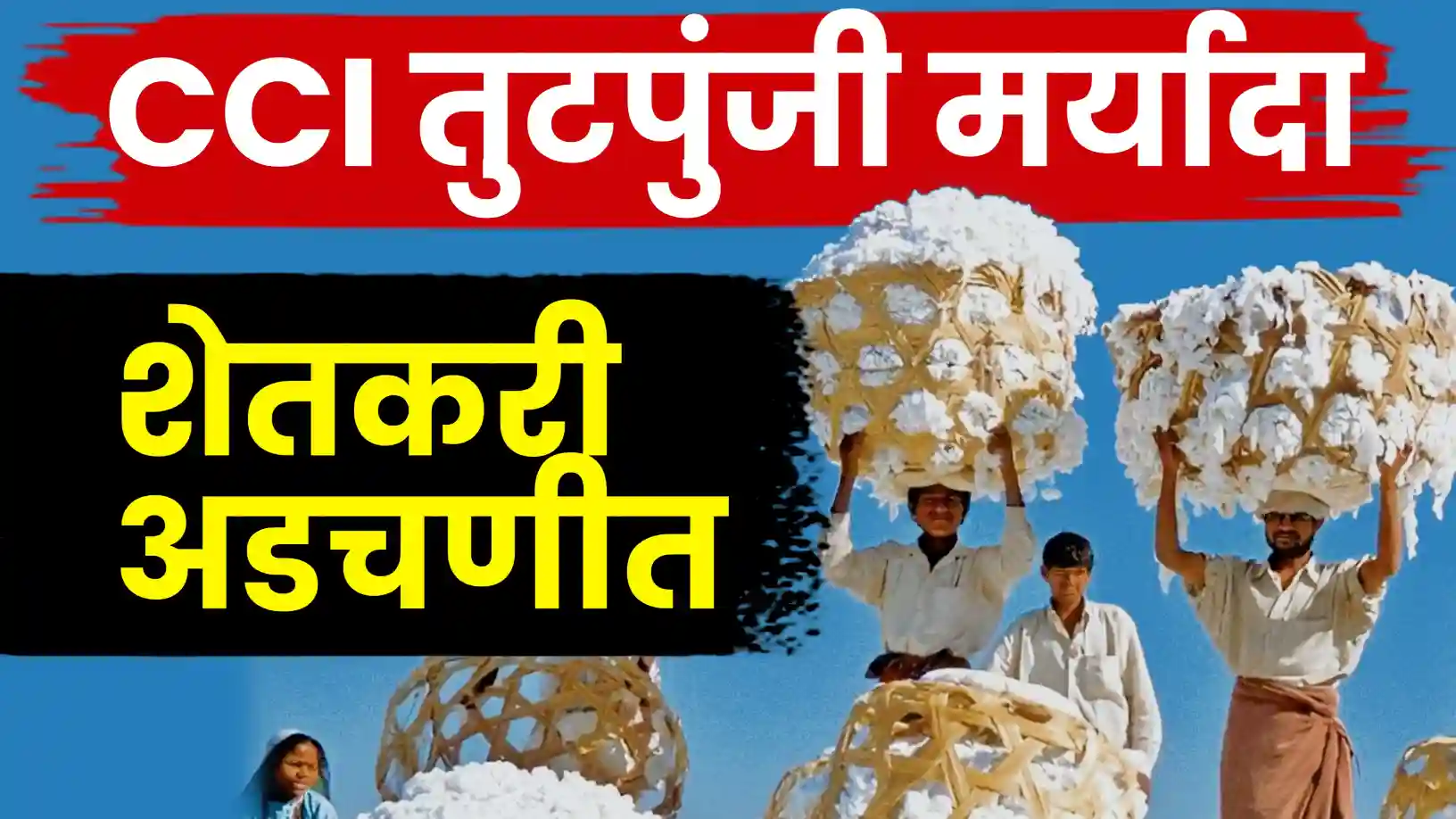 सीसीआयच्या तुटपुंज्या मर्यादेमुळे कापूस उत्पादक शेतकरी अडचणीत