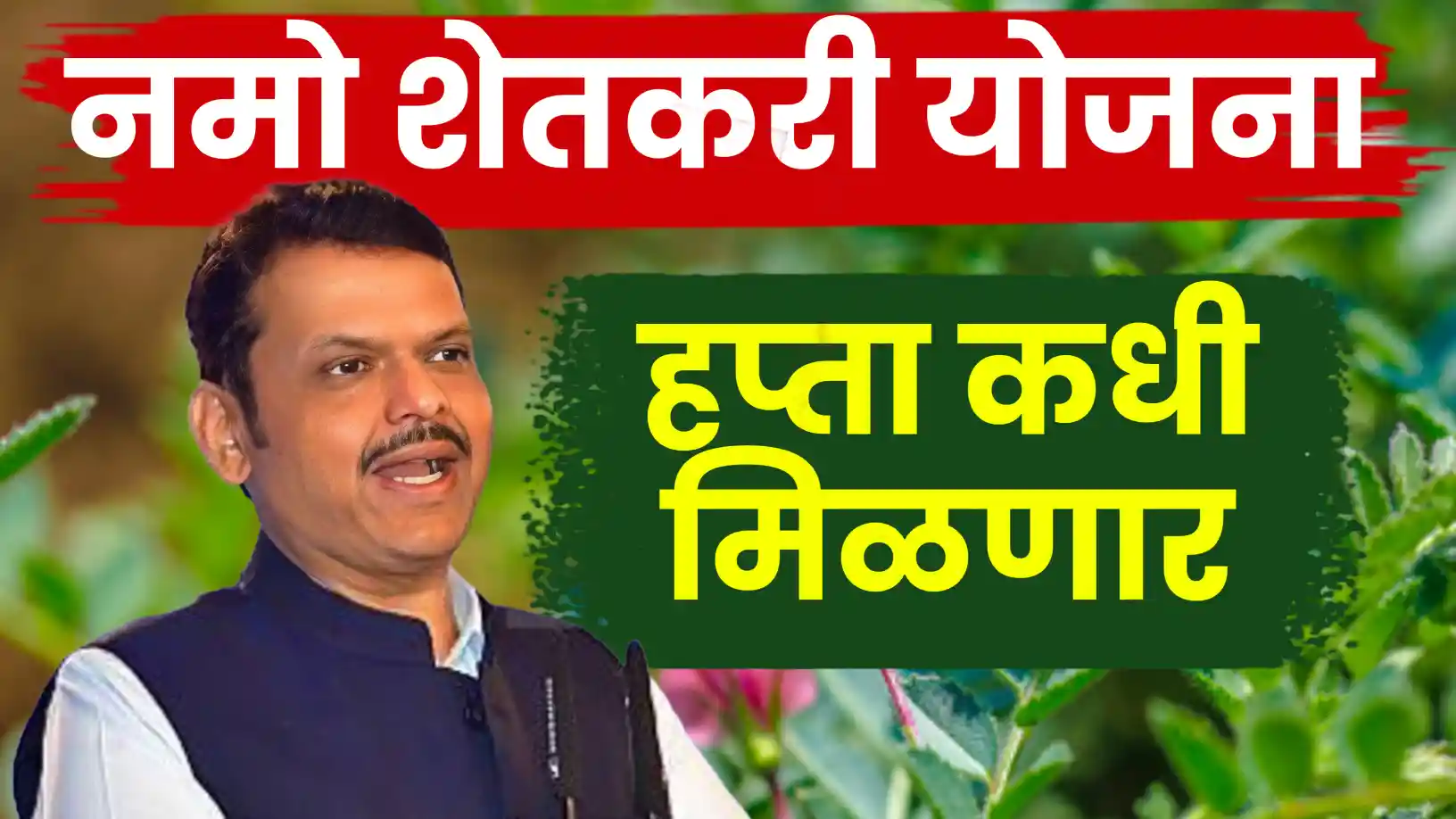 नमो शेतकरी महासन्मान निधीचा ८वा हप्ता कधी येणार